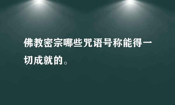 佛教密宗哪些咒语号称能得一切成就的。