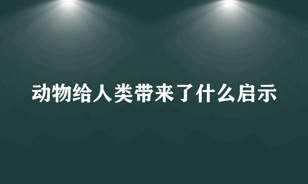 动物给人类带来了什么启示