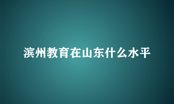 滨州教育在山东什么水平