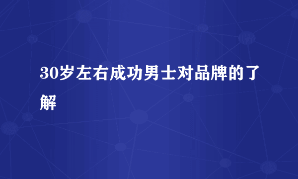 30岁左右成功男士对品牌的了解