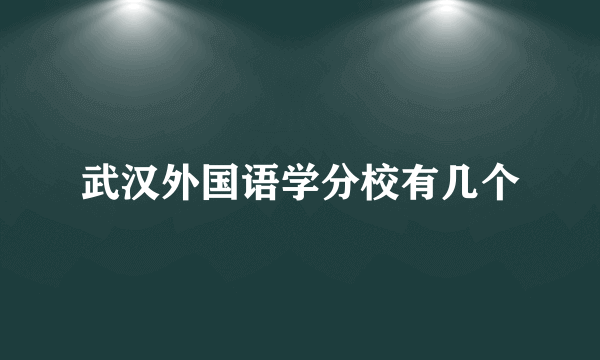 武汉外国语学分校有几个