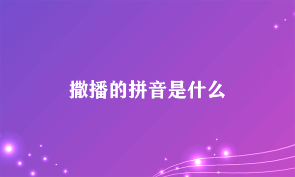 撒播的拼音是什么