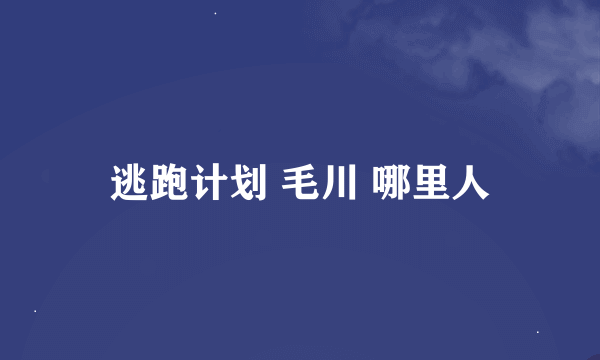 逃跑计划 毛川 哪里人