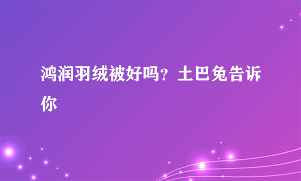 鸿润羽绒被好吗？土巴兔告诉你