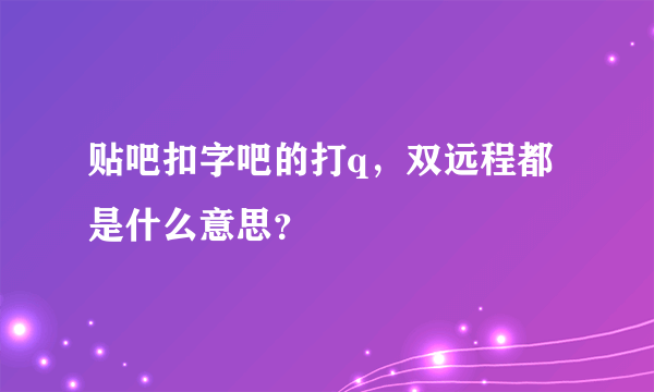 贴吧扣字吧的打q，双远程都是什么意思？