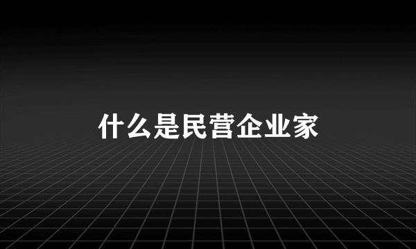 什么是民营企业家