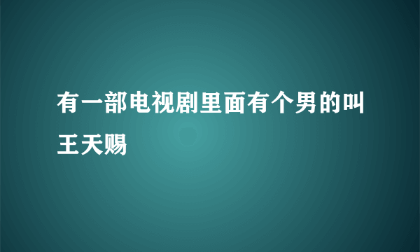 有一部电视剧里面有个男的叫王天赐