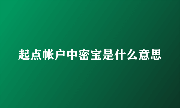 起点帐户中密宝是什么意思