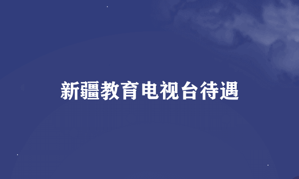 新疆教育电视台待遇