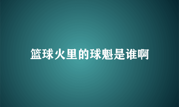 篮球火里的球魁是谁啊