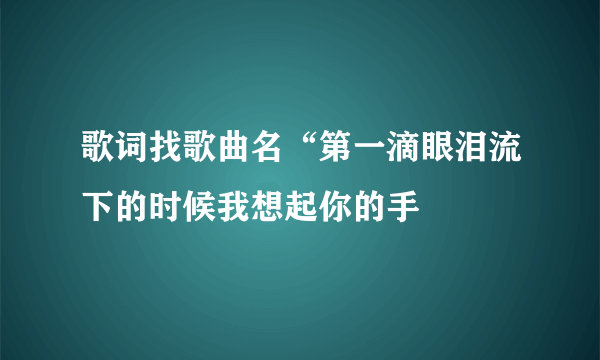 歌词找歌曲名“第一滴眼泪流下的时候我想起你的手