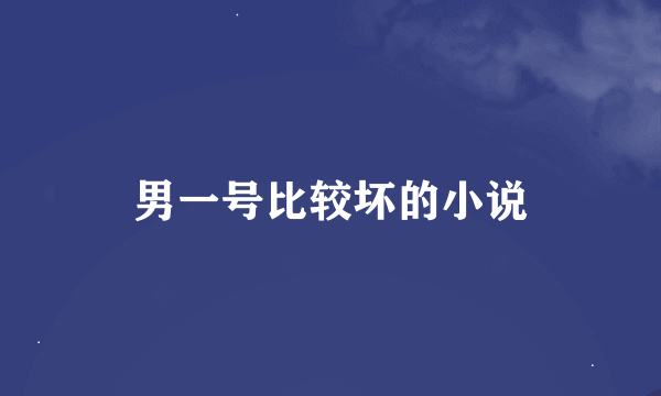 男一号比较坏的小说