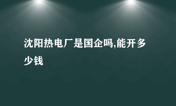 沈阳热电厂是国企吗,能开多少钱