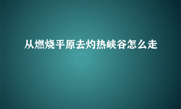 从燃烧平原去灼热峡谷怎么走