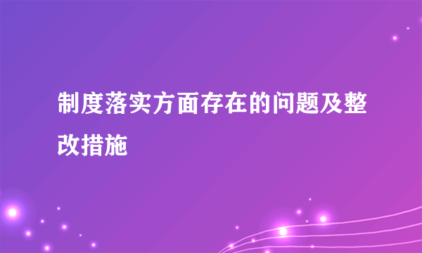 制度落实方面存在的问题及整改措施