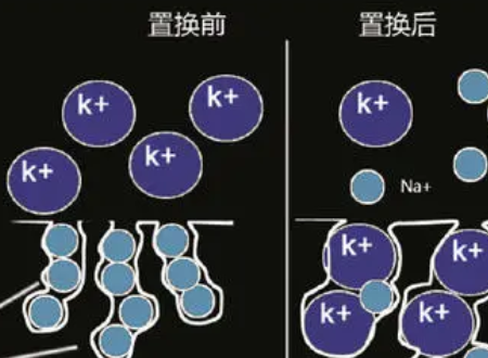 钾离子的作用是什么？