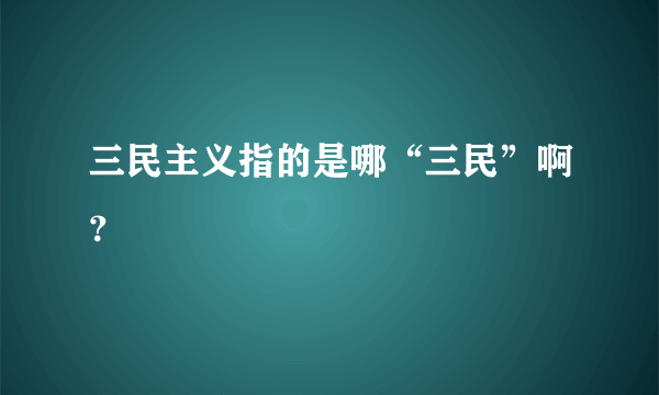 三民主义指的是哪“三民”啊？