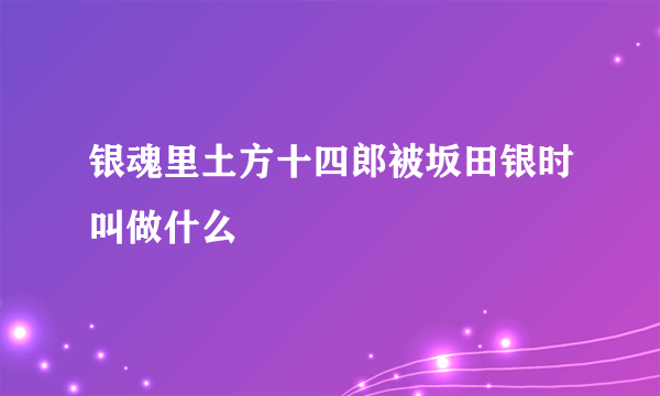 银魂里土方十四郎被坂田银时叫做什么