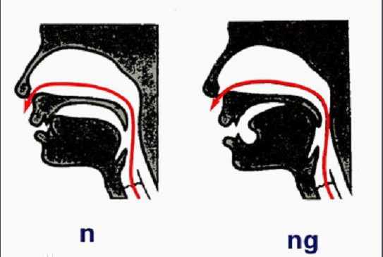 怎么分辨前鼻音和后鼻音