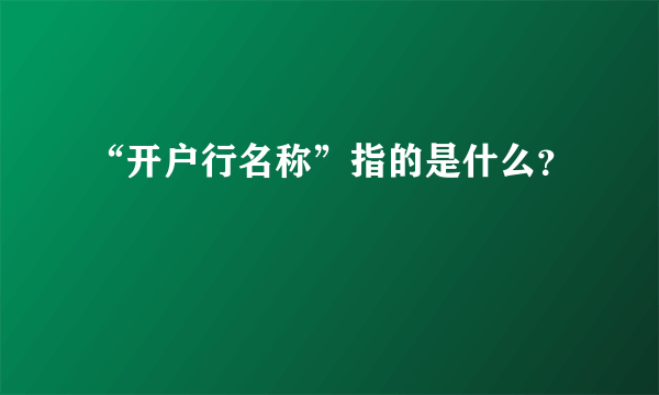 “开户行名称”指的是什么？