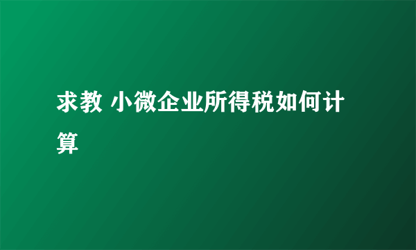 求教 小微企业所得税如何计算