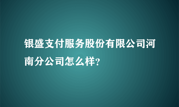 银盛支付服务股份有限公司河南分公司怎么样？