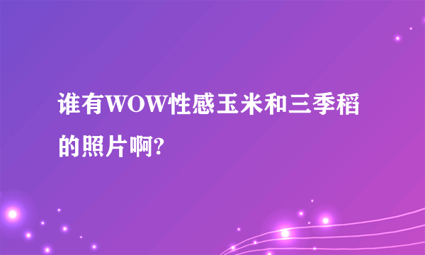 谁有WOW性感玉米和三季稻的照片啊?