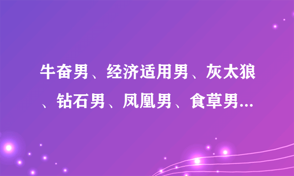 牛奋男、经济适用男、灰太狼、钻石男、凤凰男、食草男、韩国电玩男昌、日本便当男、三低男解释　