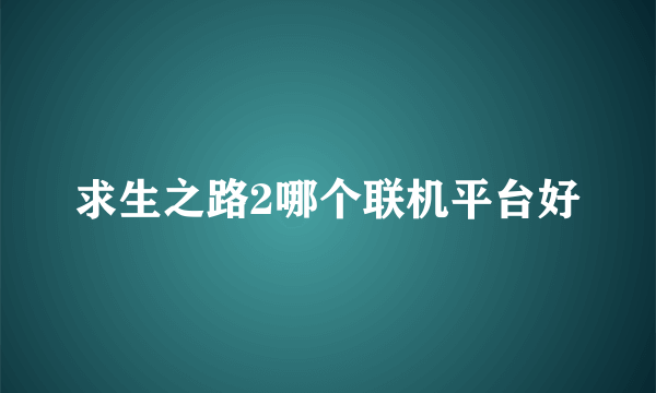 求生之路2哪个联机平台好