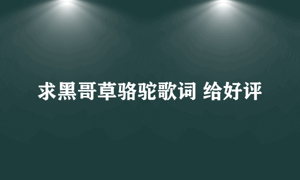 求黑哥草骆驼歌词 给好评