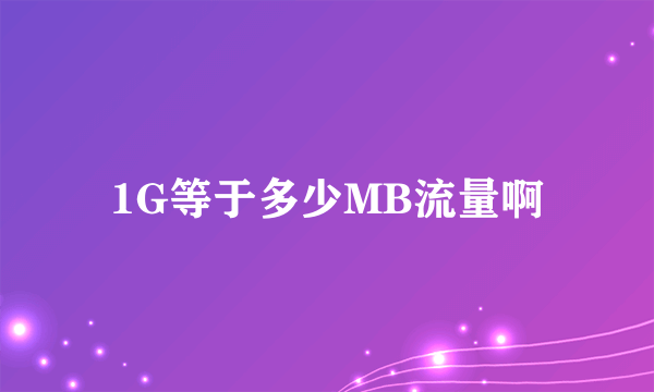 1G等于多少MB流量啊