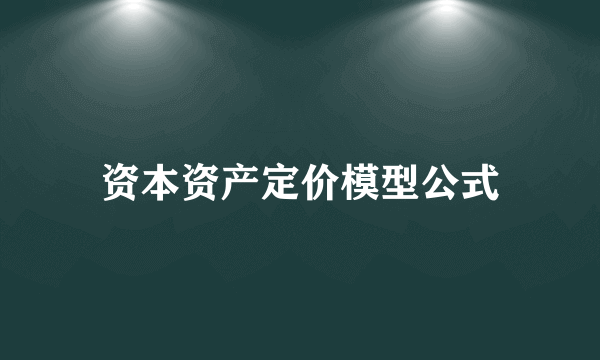 资本资产定价模型公式