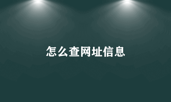 怎么查网址信息