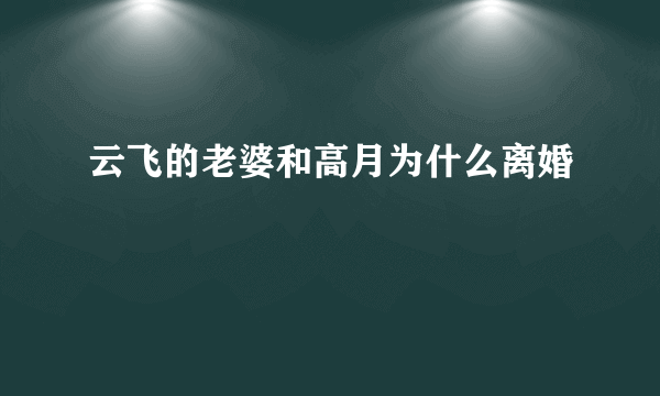 云飞的老婆和高月为什么离婚