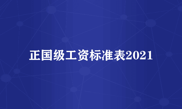 正国级工资标准表2021