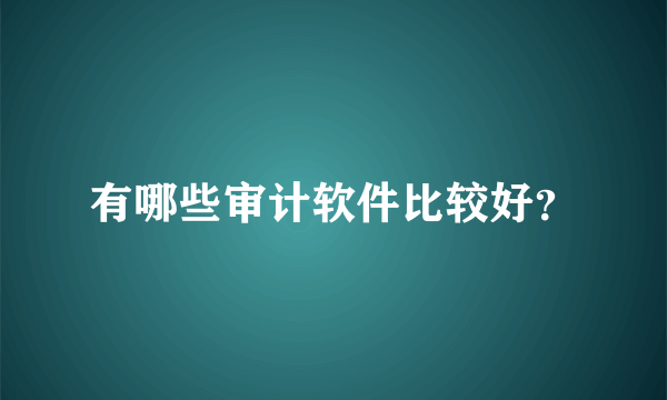 有哪些审计软件比较好？