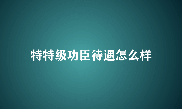 特特级功臣待遇怎么样