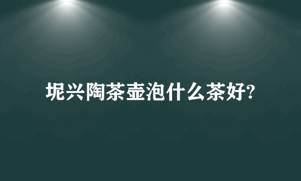 坭兴陶茶壶泡什么茶好?