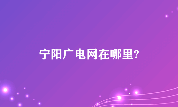 宁阳广电网在哪里?