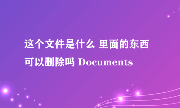 这个文件是什么 里面的东西可以删除吗 Documents