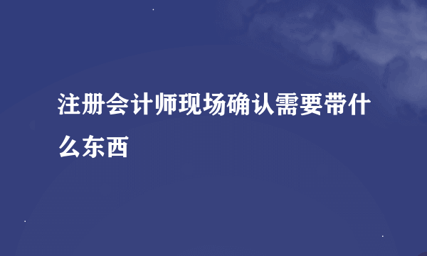 注册会计师现场确认需要带什么东西