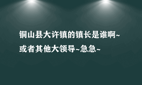 铜山县大许镇的镇长是谁啊~或者其他大领导~急急~