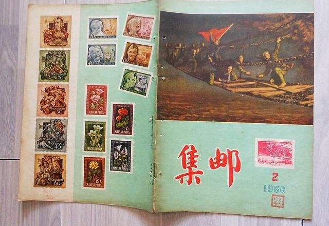 collection是什么意思啊