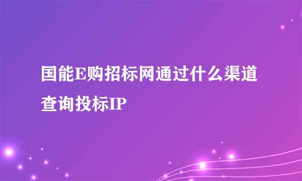 国能E购招标网通过什么渠道查询投标IP