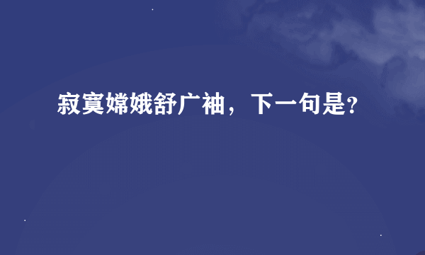 寂寞嫦娥舒广袖，下一句是？