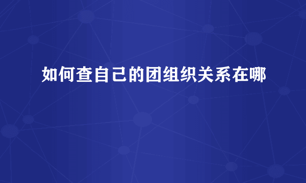 如何查自己的团组织关系在哪