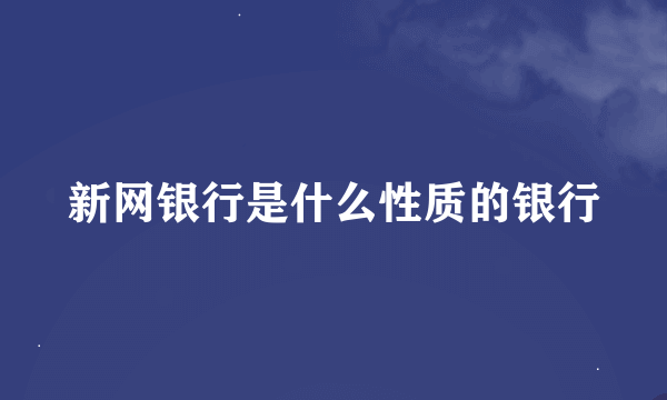 新网银行是什么性质的银行