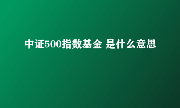 中证500指数基金 是什么意思