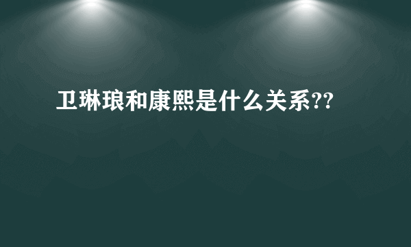 卫琳琅和康熙是什么关系??