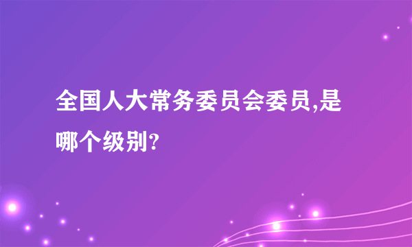 全国人大常务委员会委员,是哪个级别?